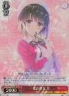  Fsh/W120-T03S SR 一途な彼女 恵 