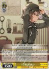  Fsp/W120-024 C 《草原》のサラ 
