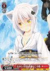  Fdd/W120-104 C むかしの自分を越えて 小猫 