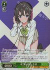 Fgm/W120-056S SR 本当の初恋 千秋 
