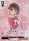 Fsh/W120-P09S PR 一途な彼女 恵