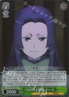  GGO/SE50-13H HC 《SHINC》参戦 トーマ 