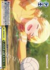  GU/W44-015 CR バリボーダイスキー 