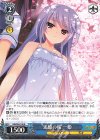 【傷】追憶の桜 一姫