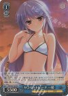 GRI/S84-106S SR サンセットビーチ 一姫