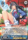 GRI/S112-073 RR 救護の虎 タイガ 