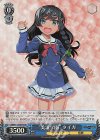  GRI/S112-087S SR “美浜学園” タイガ 