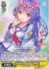  Hab/W117-P04 PR Faraway Eden 入江 みゆき 