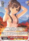  IMC/W115-T03 TD 深紅の心化粧 小早川紗枝 