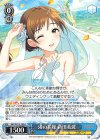  IMC/W115-102 R 渚の花嫁 新田美波 