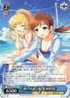  IMC/W115-132 C 銀のイルカと熱い風 新田美波 