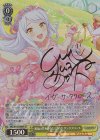  IMC/W115-008SP SP 祝福の花をあなたに イヴ・サンタクロース(サイン入り) 