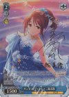 IMC/W115-109SP SP サンセットヴィーナス 三船美優(サイン入り)