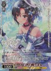 IAS/SE52-29BNP BNP 鈴の音に安らぎを 菊地 真(箔押し入り)