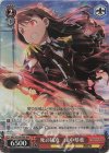 IMS/S93-067BNP BNP 死の猛攻 田中琴葉