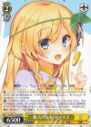  Sks/W123-003 RR 箱入り王女 アイリス 