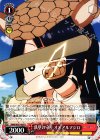  KMN/W51-067 U 鉄壁の守り オオアルマジロ 