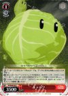  KS/W49-057 C キャベツ 