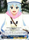 “雪精討伐の意味とは?”アクア