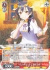  LL/W68-045 R “9人のアリス!?”園田 海未 