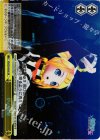  PD/S29-024S SR 炉心融解 