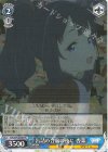  MKI/W126-081 R 缶詰め合宿の夜に 杏菜 