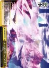  NGL/S58-T10 TD ディスボードへようこそ 
