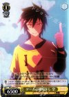  NGL/S58-013 C ゲームの種明かし 空 