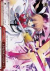  NA/W12-073 CR エクセリオンバスター 
