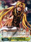 N2/W25-003S SR これからのこと フェイト