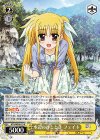  NTA/WE48-13 N 水辺のひととき フェイト 