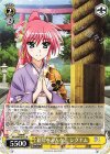  NTA/WE48-15 N 新年をみんなと シグナム 