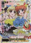 NTA/WE48-06LCR LCR セレブレーションスタイル なのは＆フェイト(箔押し入り)