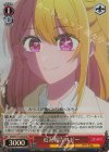  OSK/S121-045S SR 近況報告 ルビー 