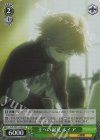  OVL/SE51-42H HC 王への謁見 ネイア 