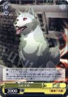  P3/S01-07T TD コロマル 