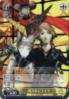P4/SE01-02 R 陽介&ジライヤ