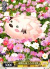  RW/W20-081 PR 収穫を祝うちびもす 