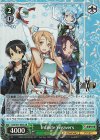 SAO/S71-044S SR Infinite Weavers