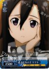  SAO/SE23-T09 TD まるで女の子 キリト 
