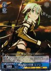 SAO/SE23-P01 PR 薄暮の中の任務 シノン