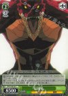  SFN/S108-041 C 紅鏡竜 