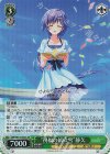  SMP/W130-036S SR “祝福の紙吹雪”静久 