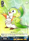  SR/SE25-29 C フロマージュ 