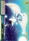  SS/W14-100 CC 器の回収 