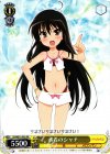  SS/WE15-P02 PR 水着のシャナ 