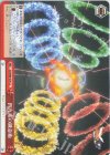  SG/W89-079 CC 四元素の錬金術 