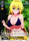 TL/W42-009 U “大胆な水着”ティアーユ