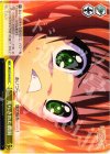  MK2/S19-025 CC 荒らされた農園 