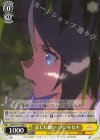  UMA/W119-008 U 託した願い フジキセキ 